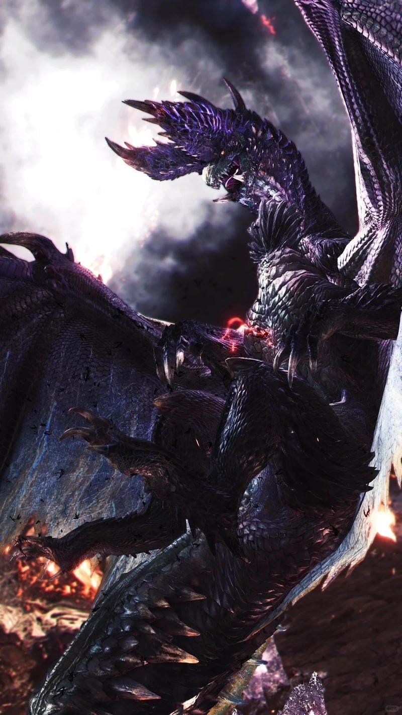 ảnh rồng đen (28)