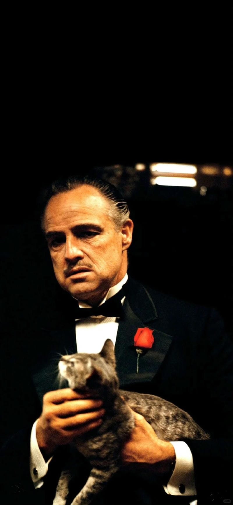 ảnh xã hội đen (19)