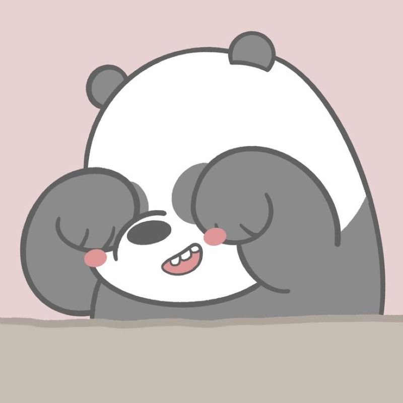 anime avatar ảnh gấu trúc cute chibi (1)