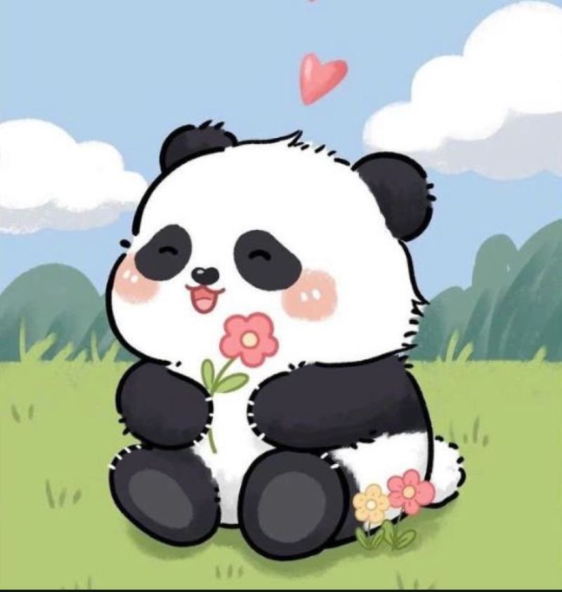 anime avatar ảnh gấu trúc cute chibi (12)