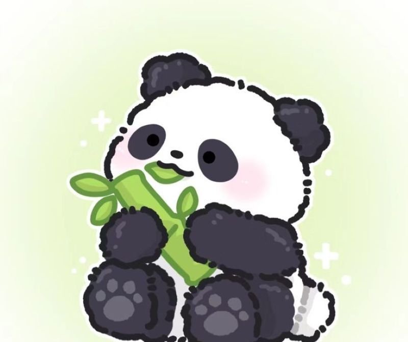 anime avatar ảnh gấu trúc cute chibi (25)