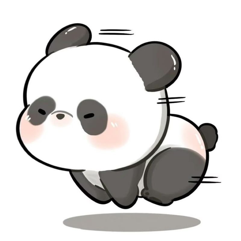 anime avatar ảnh gấu trúc cute chibi (3)