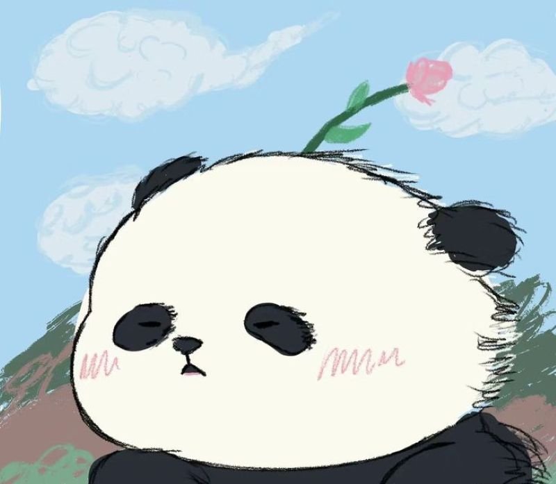 anime avatar ảnh gấu trúc cute chibi (6)