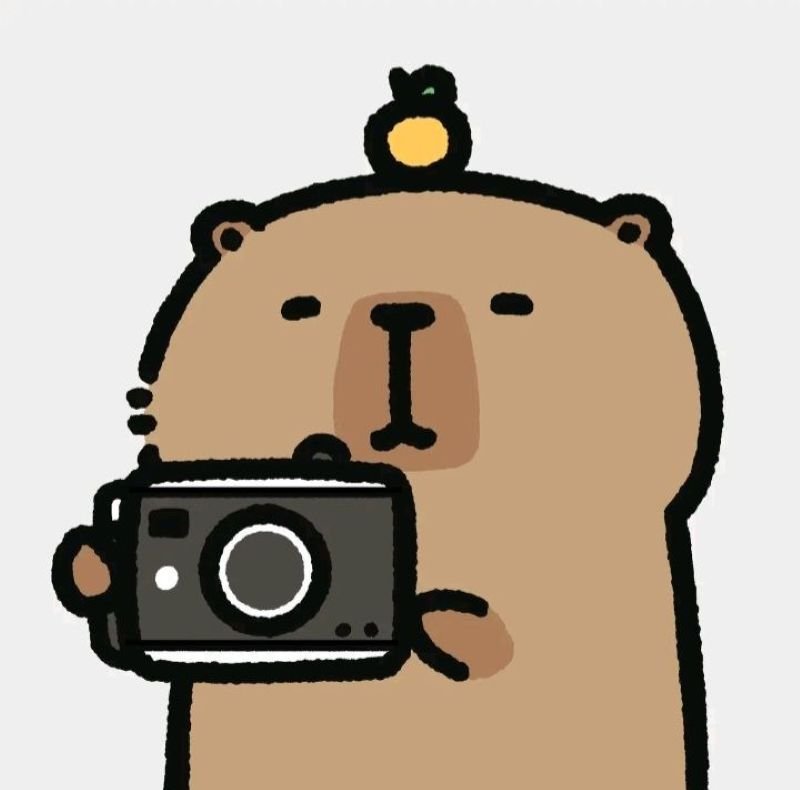 hình ảnh capybara cute anime (25)