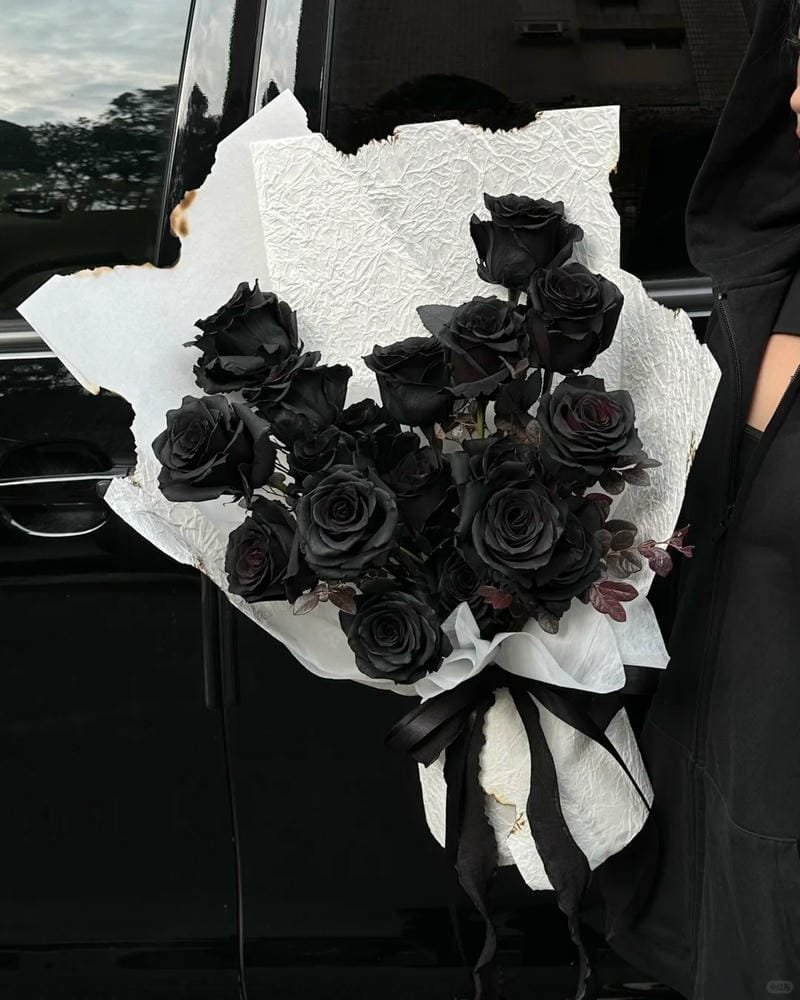 hình ảnh hoa hồng đen (13)