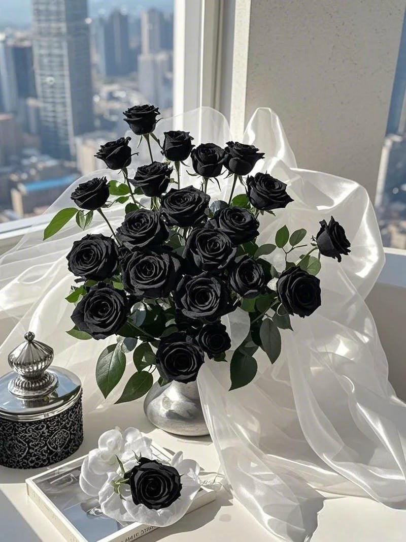 hình ảnh hoa hồng đen (26)