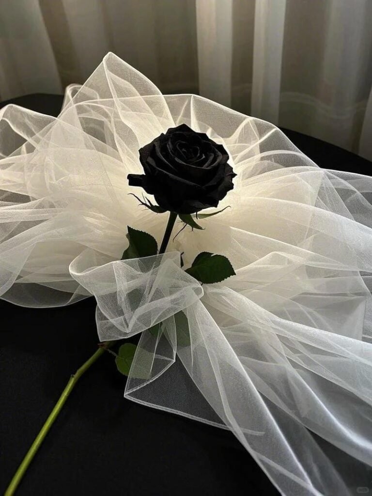 hình ảnh hoa hồng đen (29)
