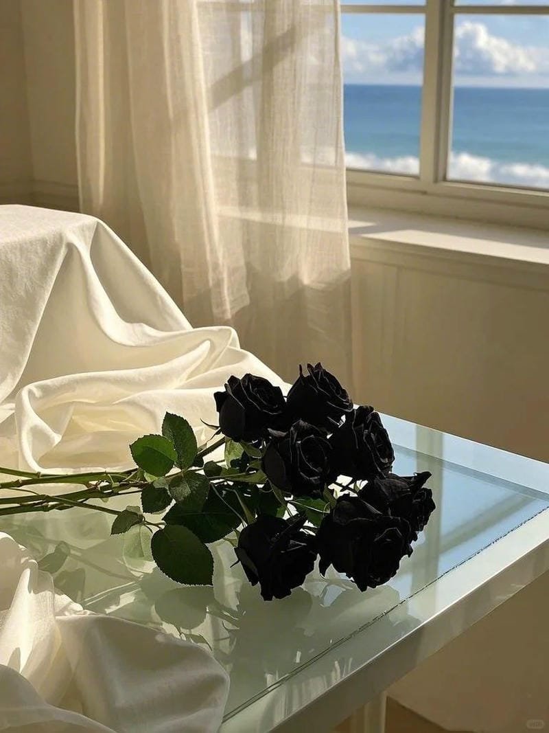 hình ảnh hoa hồng đen (32)