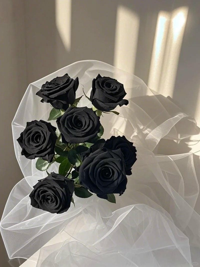 hình ảnh hoa hồng đen (35)