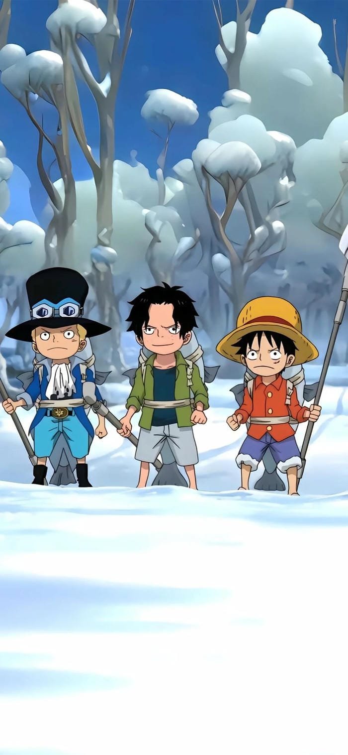 one piece anime 13