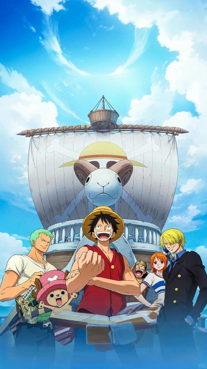 one piece anime 30