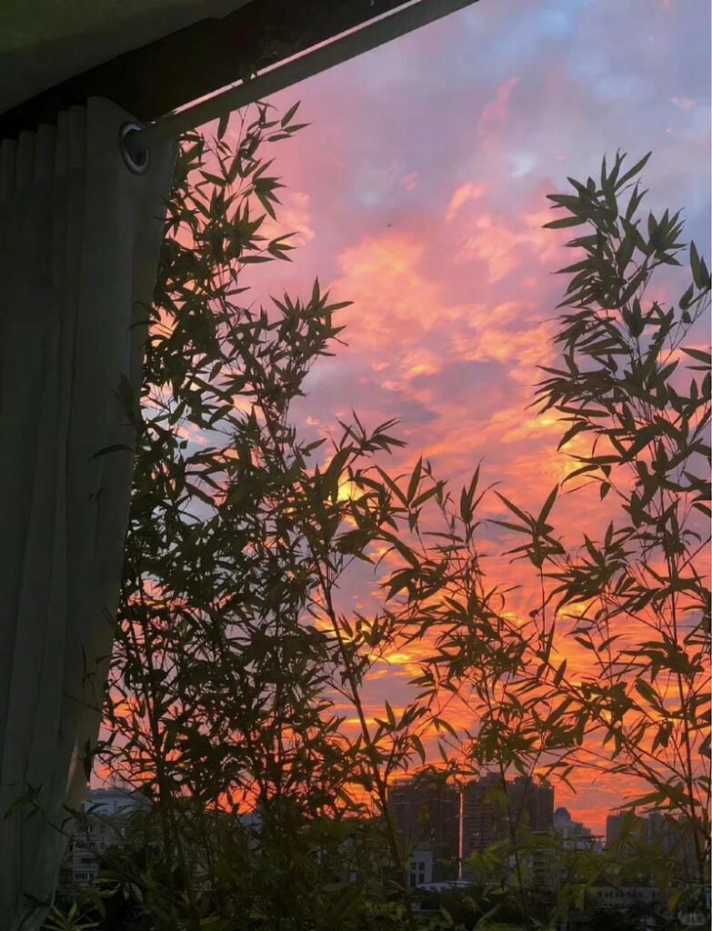 ảnh bầu trời chill (29)