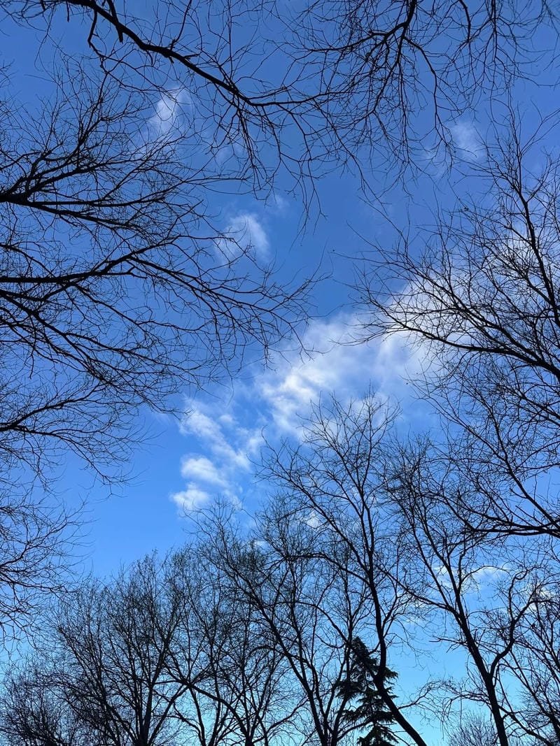 ảnh bầu trời chill (31)