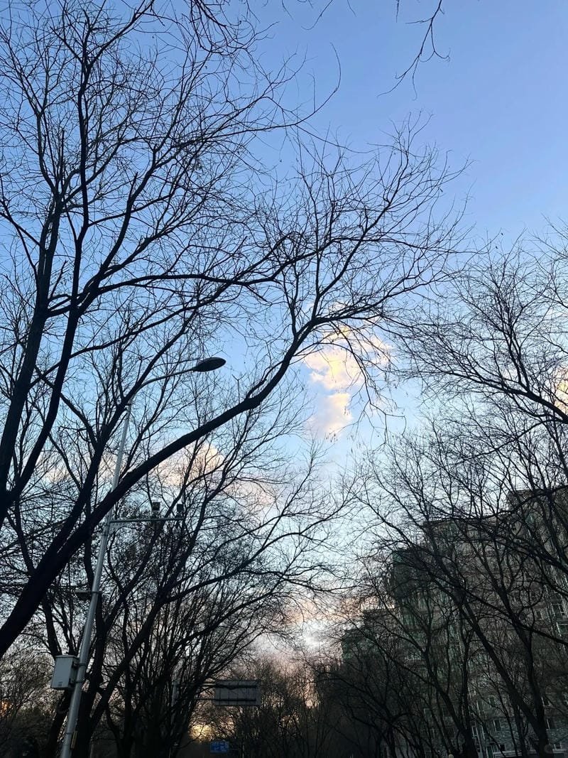 ảnh bầu trời chill (33)