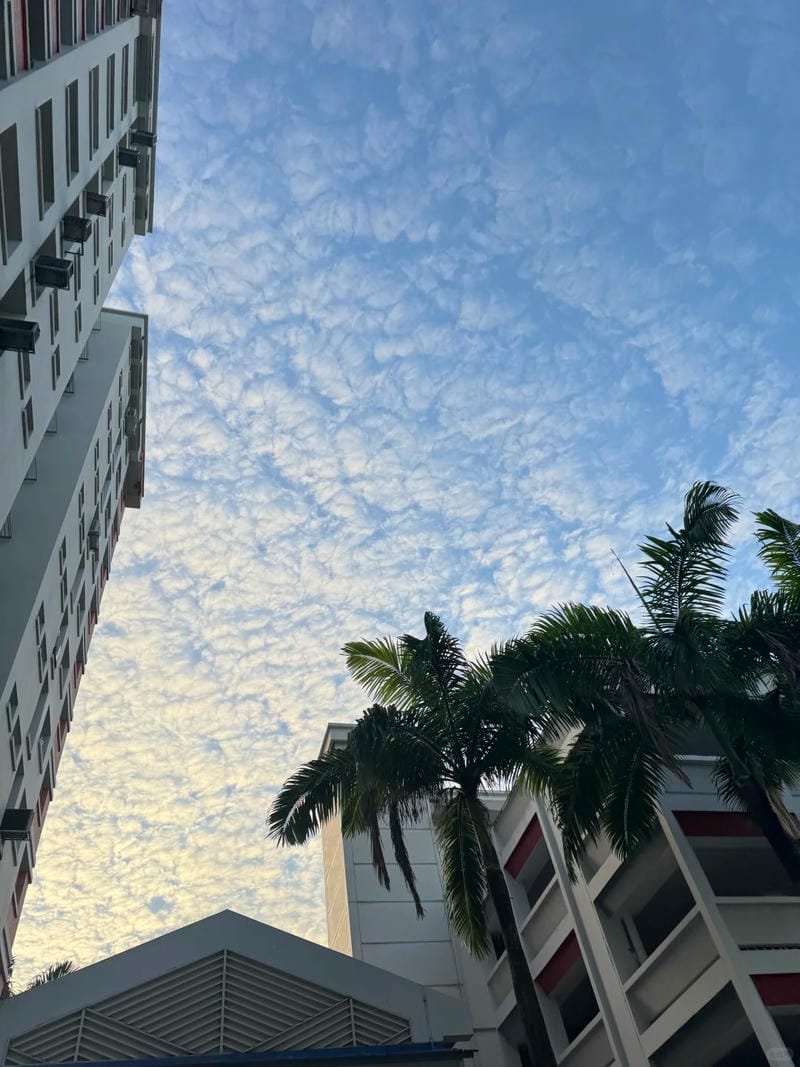 ảnh bầu trời chill (7)