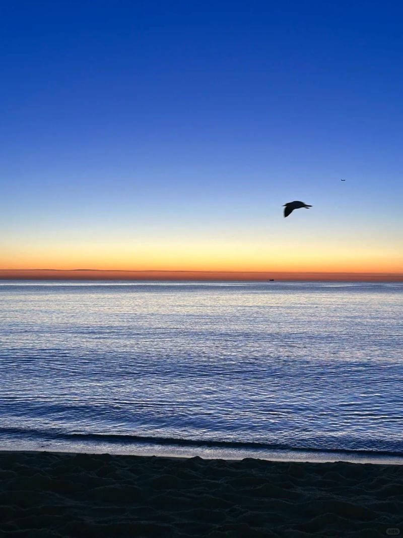 ảnh biển chill (20)