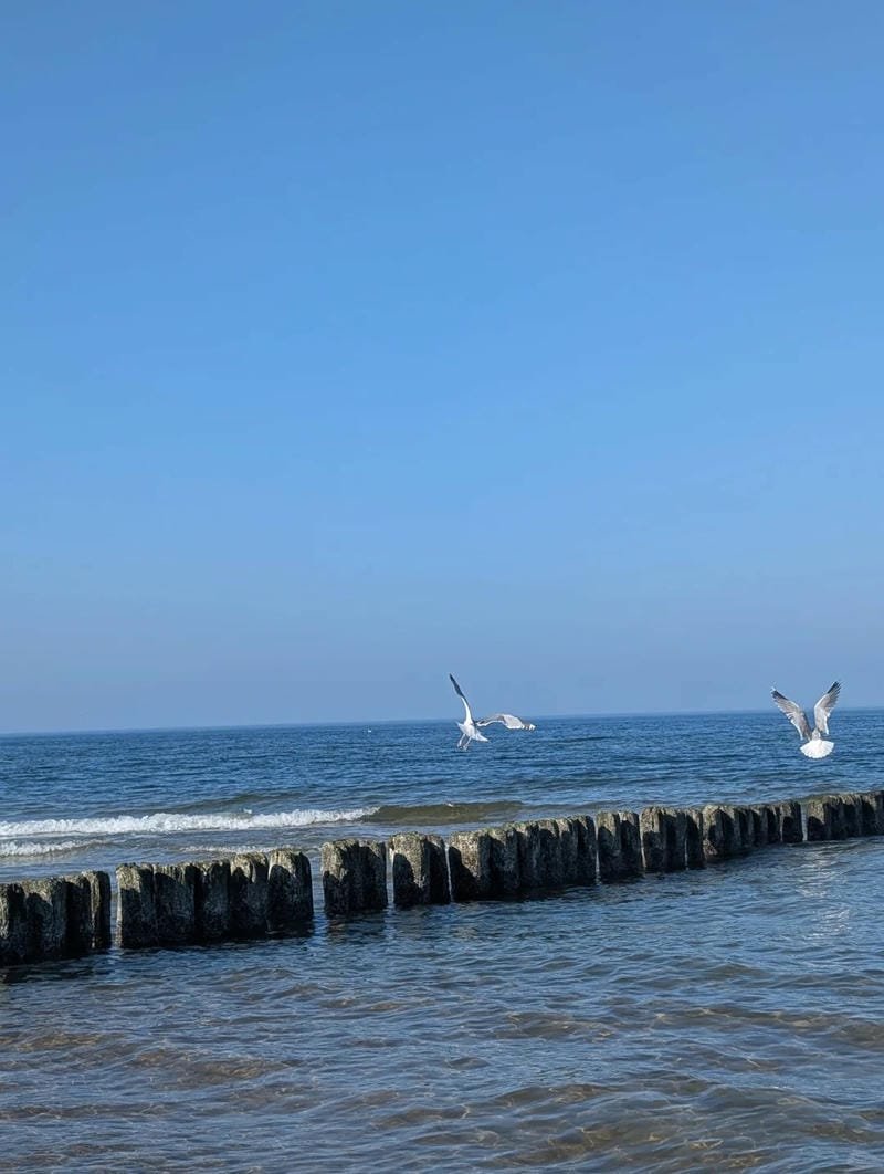 ảnh biển chill (23)