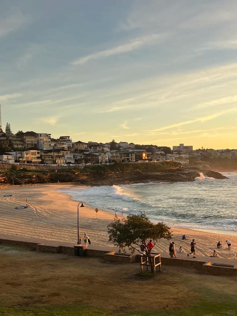 ảnh biển chill (7)