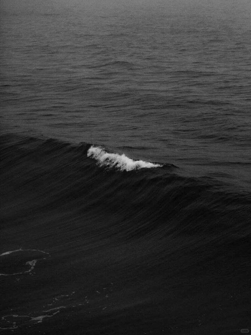 ảnh biển đen trắng (1)