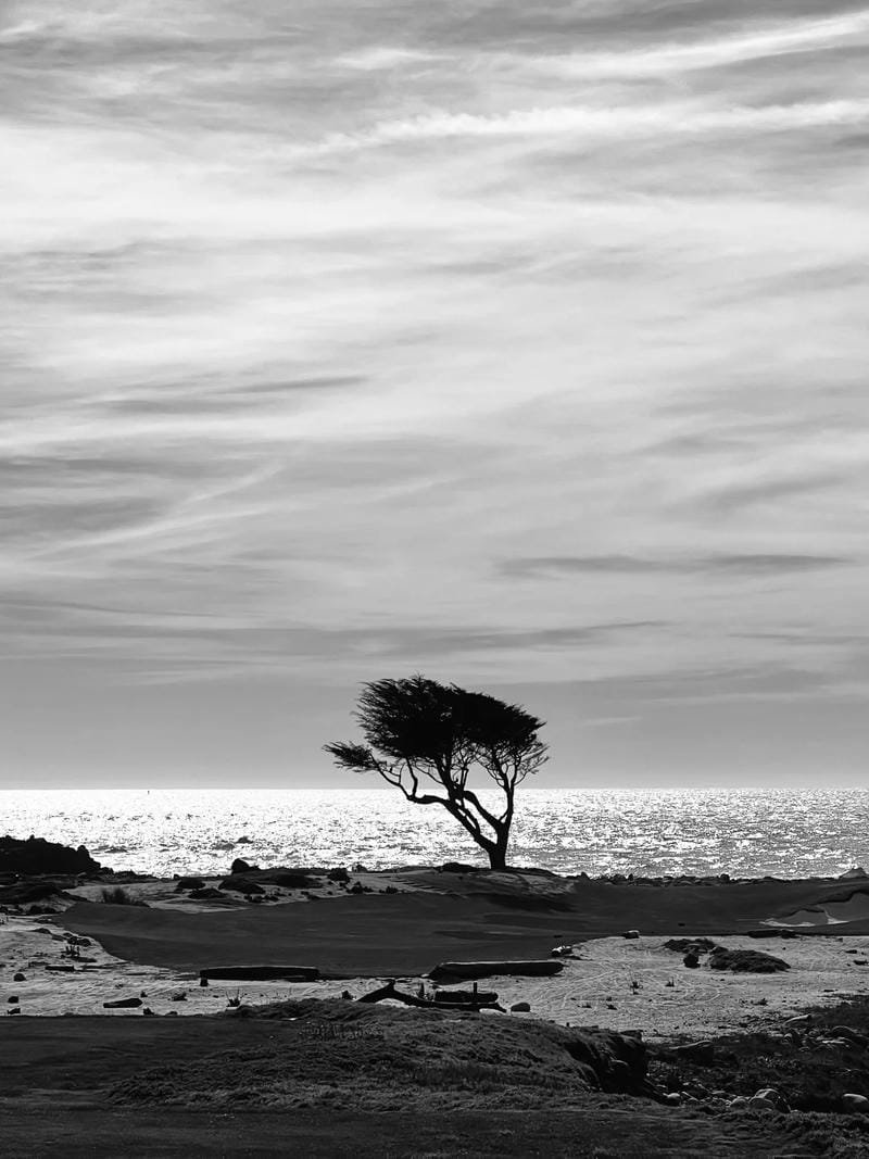 ảnh biển đen trắng (13)