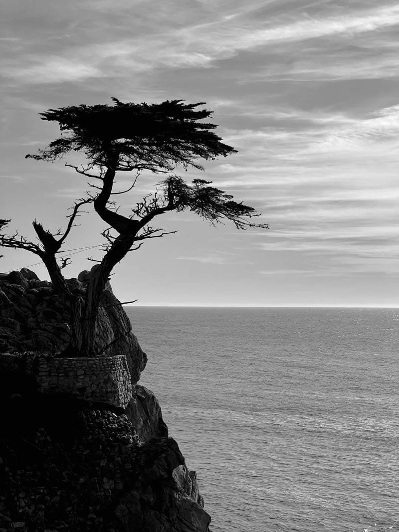 ảnh biển đen trắng (14)