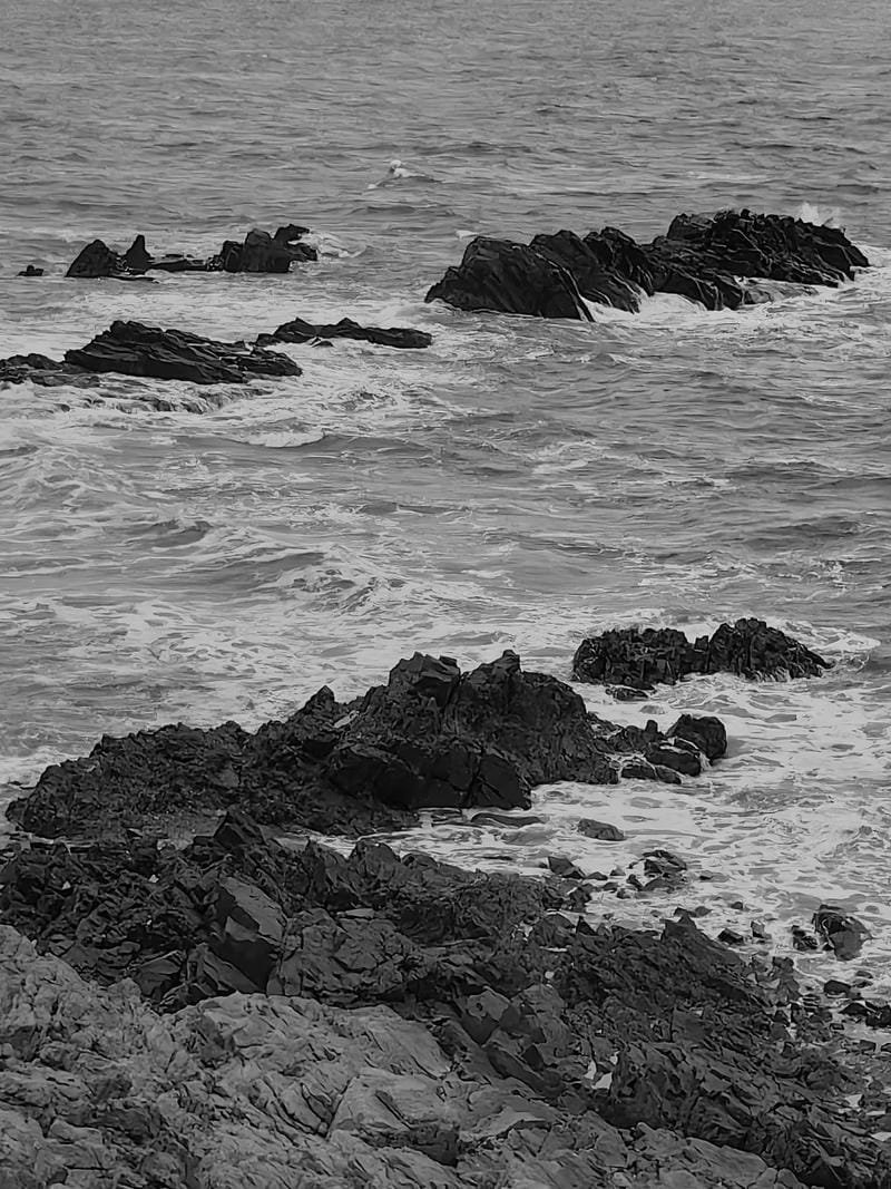 ảnh biển đen trắng (19)