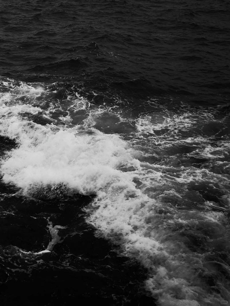 ảnh biển đen trắng (23)