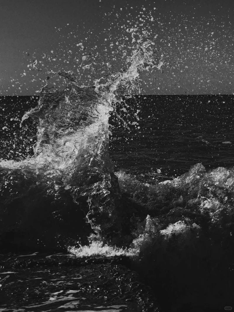 ảnh biển đen trắng (3)