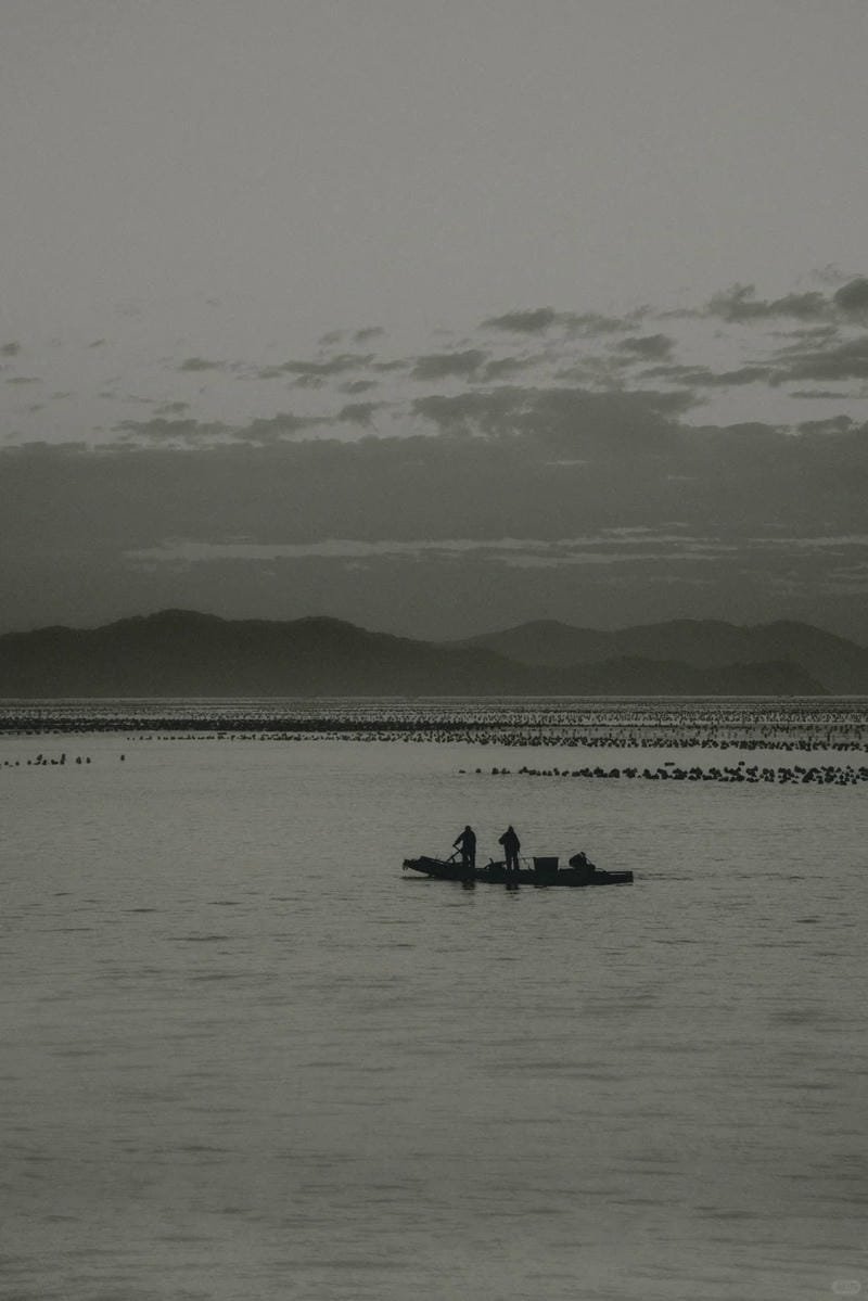 ảnh biển đen trắng (36)