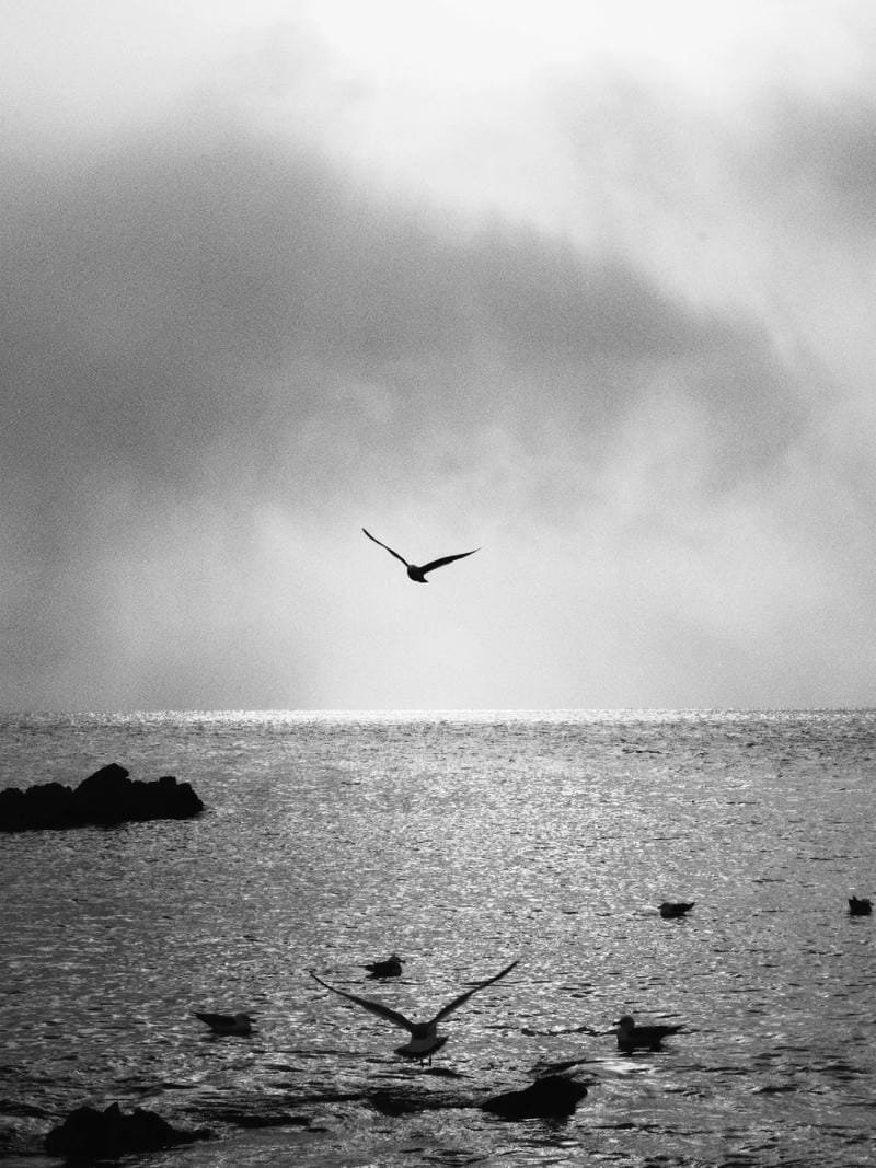 ảnh biển đen trắng (38)