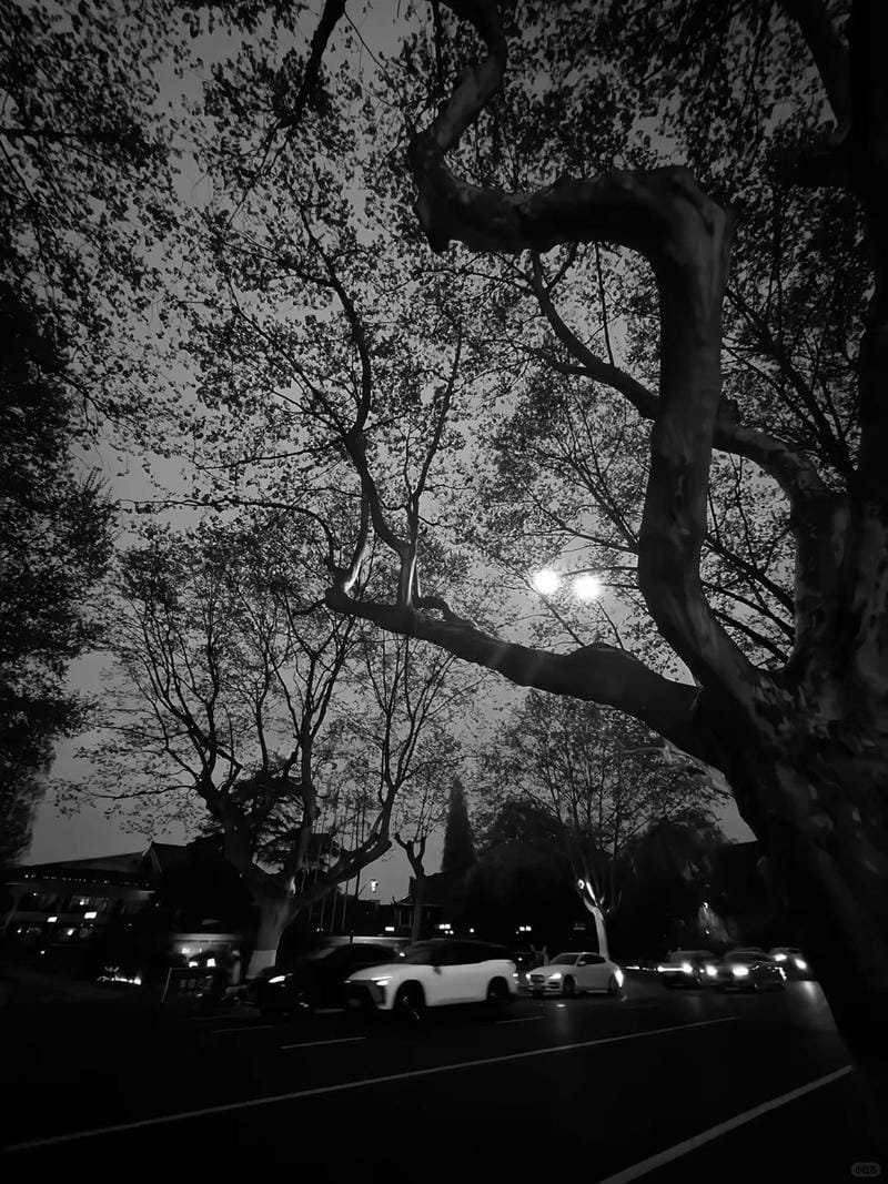 ảnh chill buồn (14)