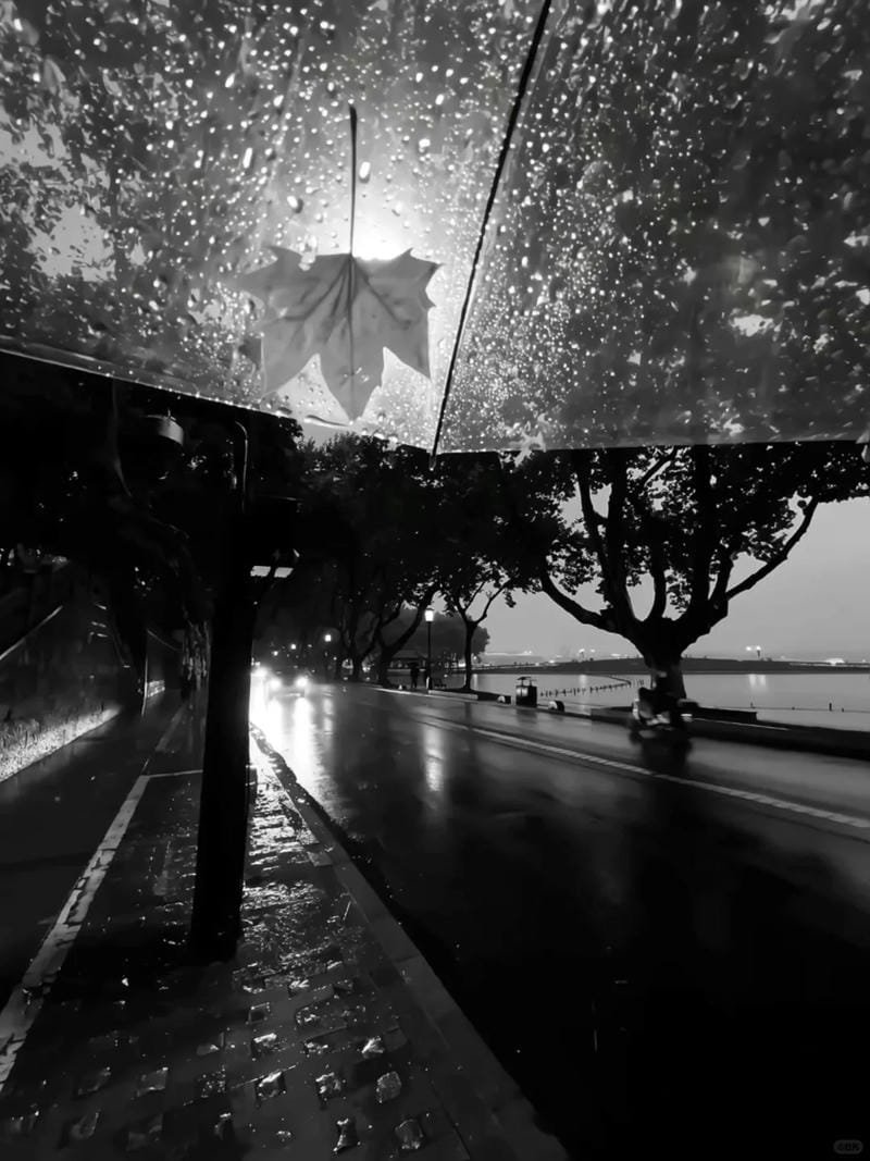 ảnh chill buồn (19)