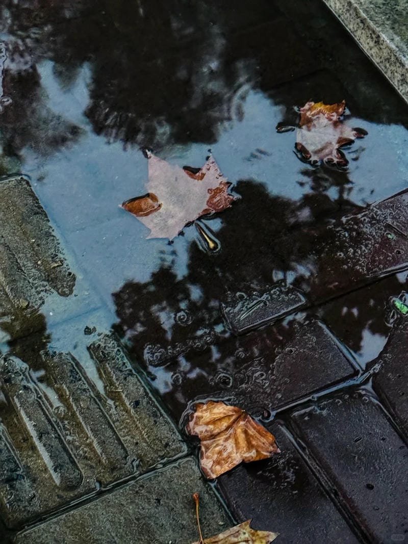 ảnh chill buồn (2)