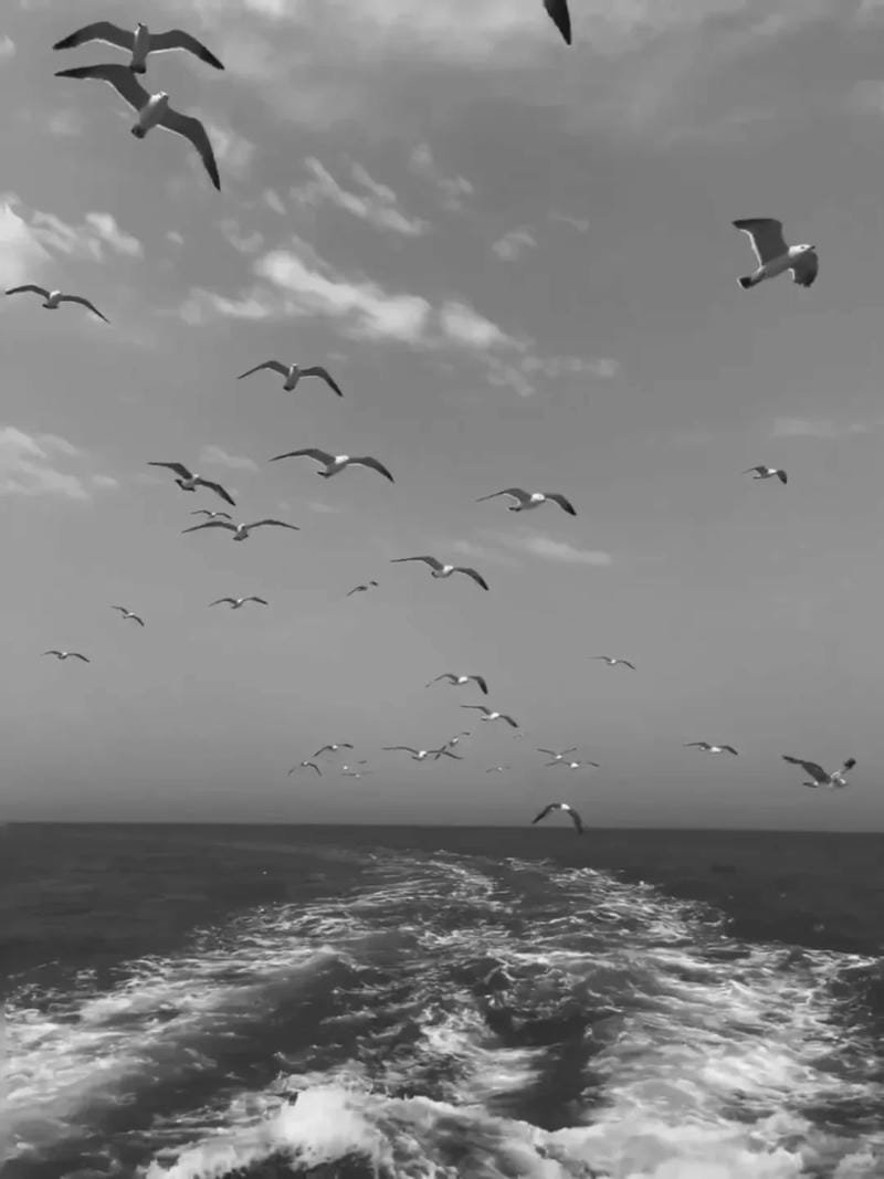 ảnh chill buồn (23)