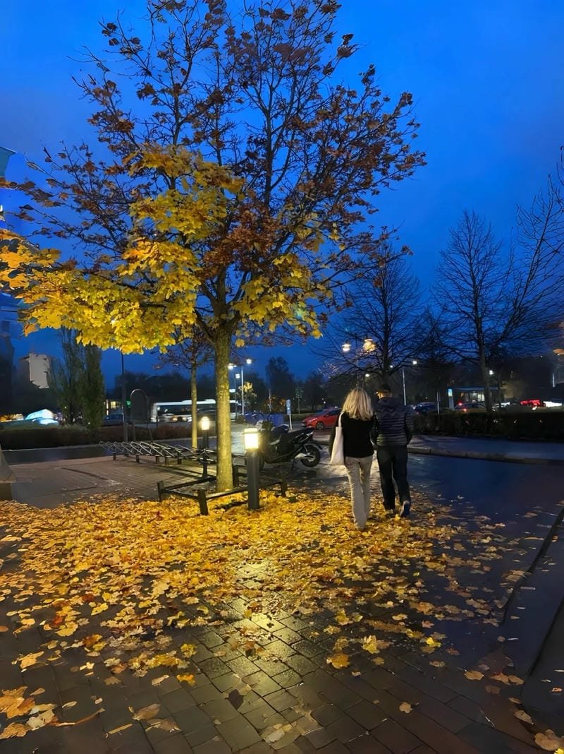 ảnh chill buồn (29)