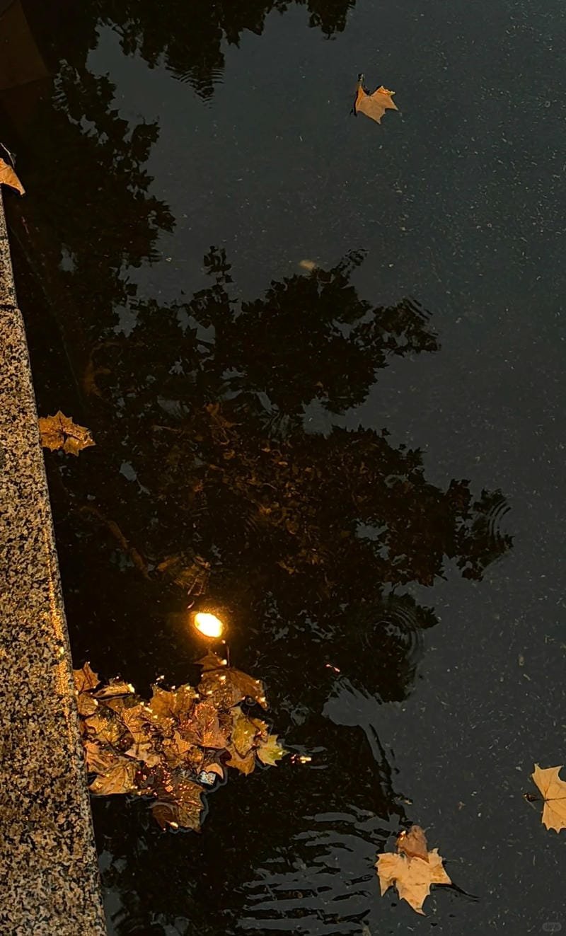 ảnh chill buồn (3)