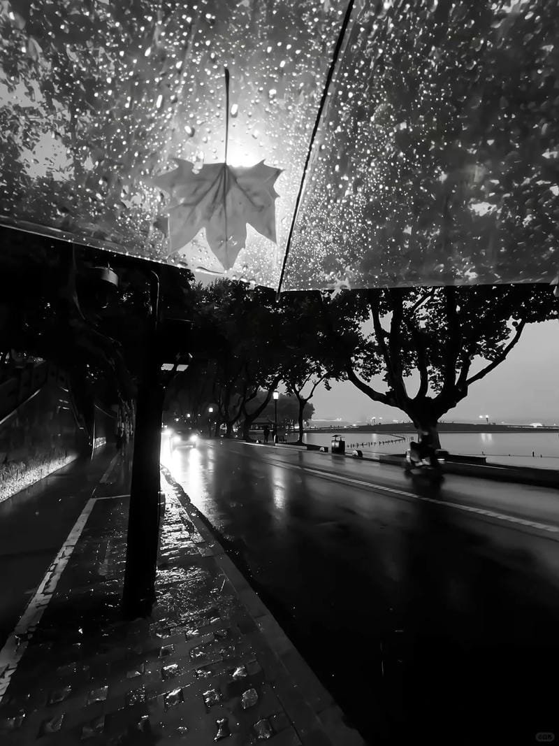 ảnh chill buồn (8)