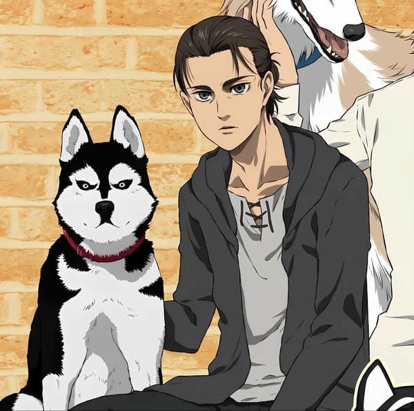 ảnh eren (8) ảnh eren (8)