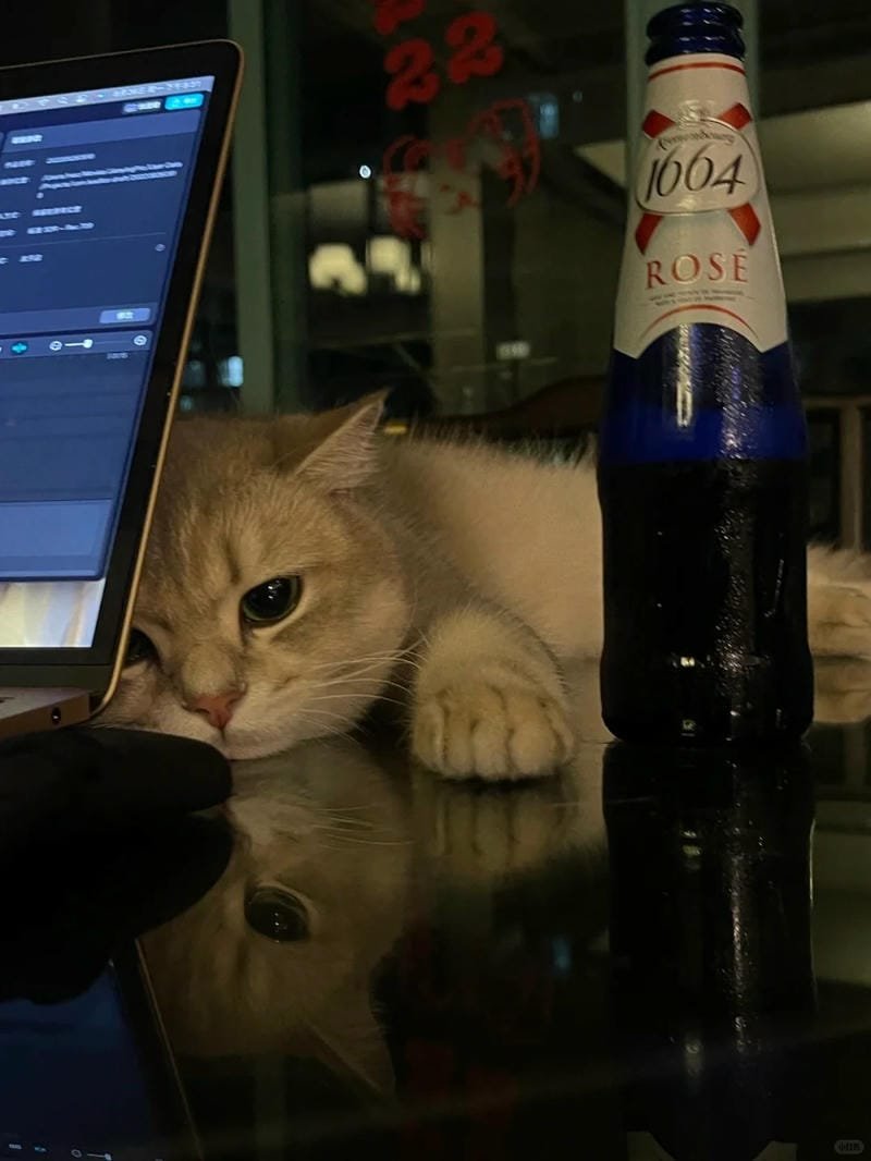 ảnh mèo buồn cute (26)