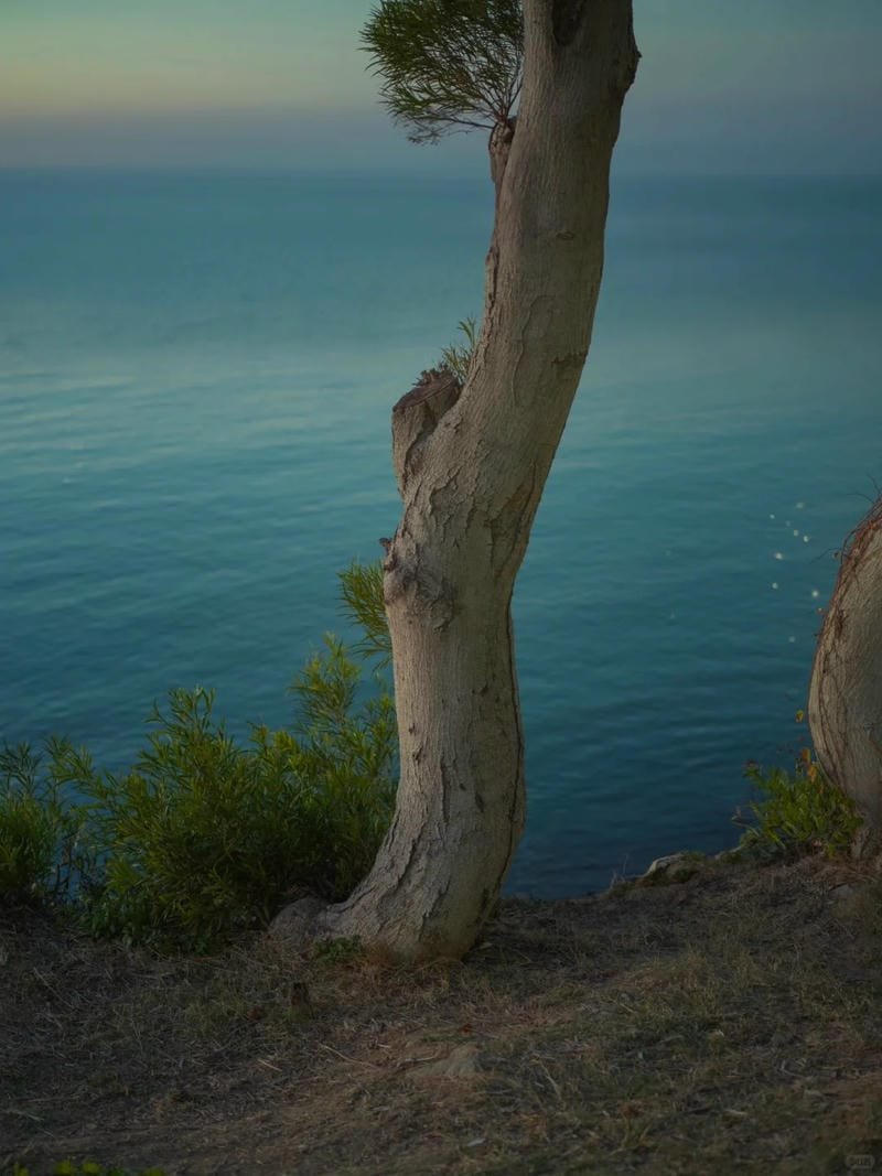 ảnh phong cảnh chill (10)