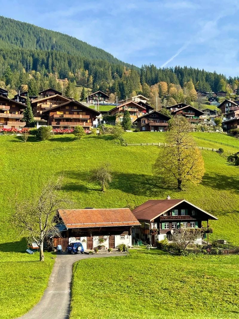 ảnh phong cảnh chill (12)