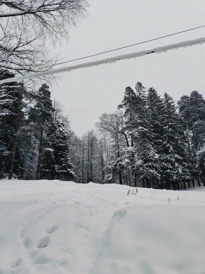 ảnh phong cảnh chill (14)