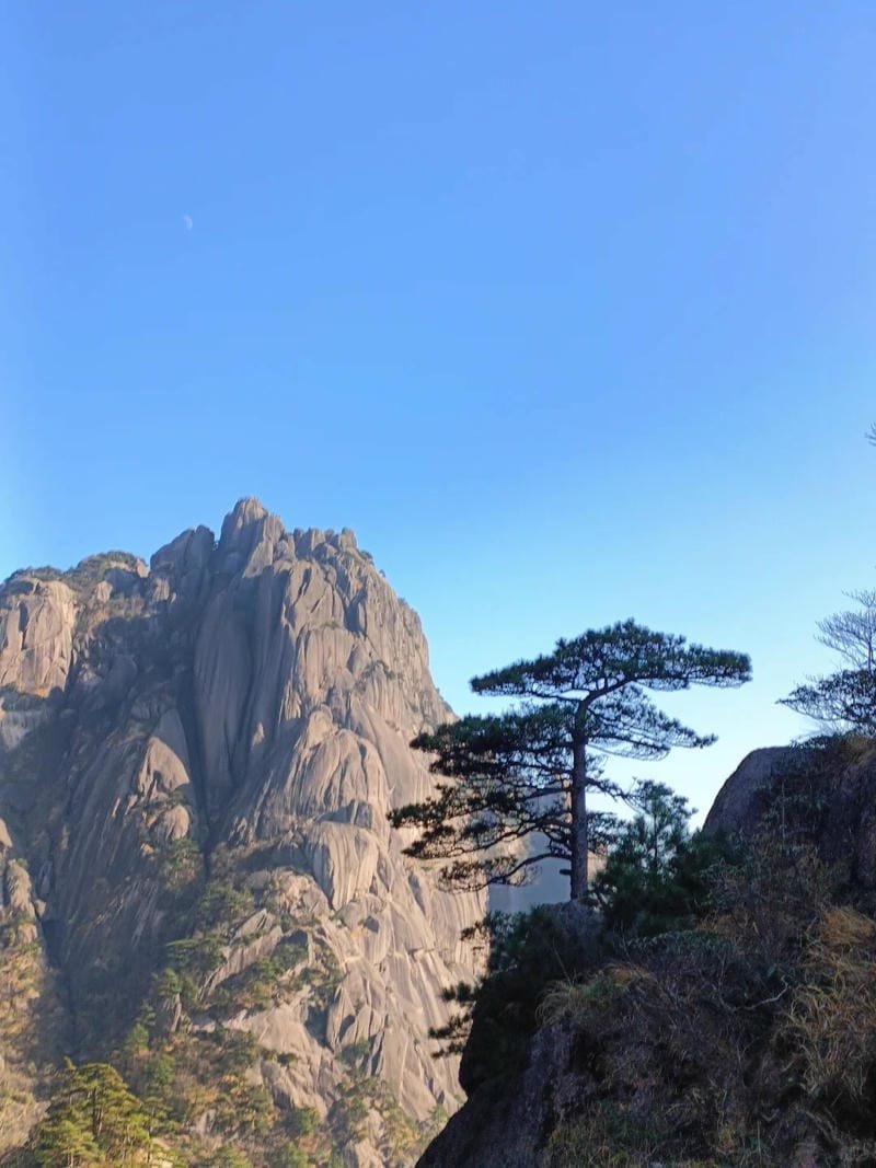 ảnh phong cảnh chill (2)