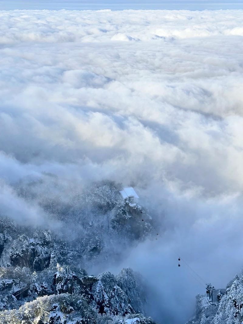 ảnh phong cảnh chill (29)