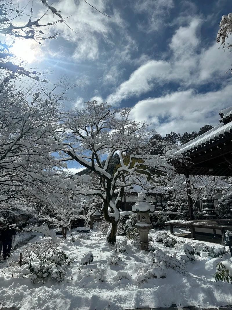 ảnh phong cảnh chill (38)