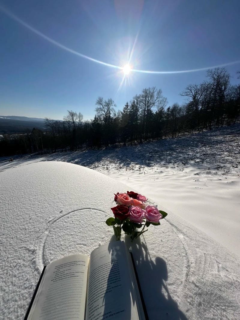 ảnh phong cảnh chill (39)