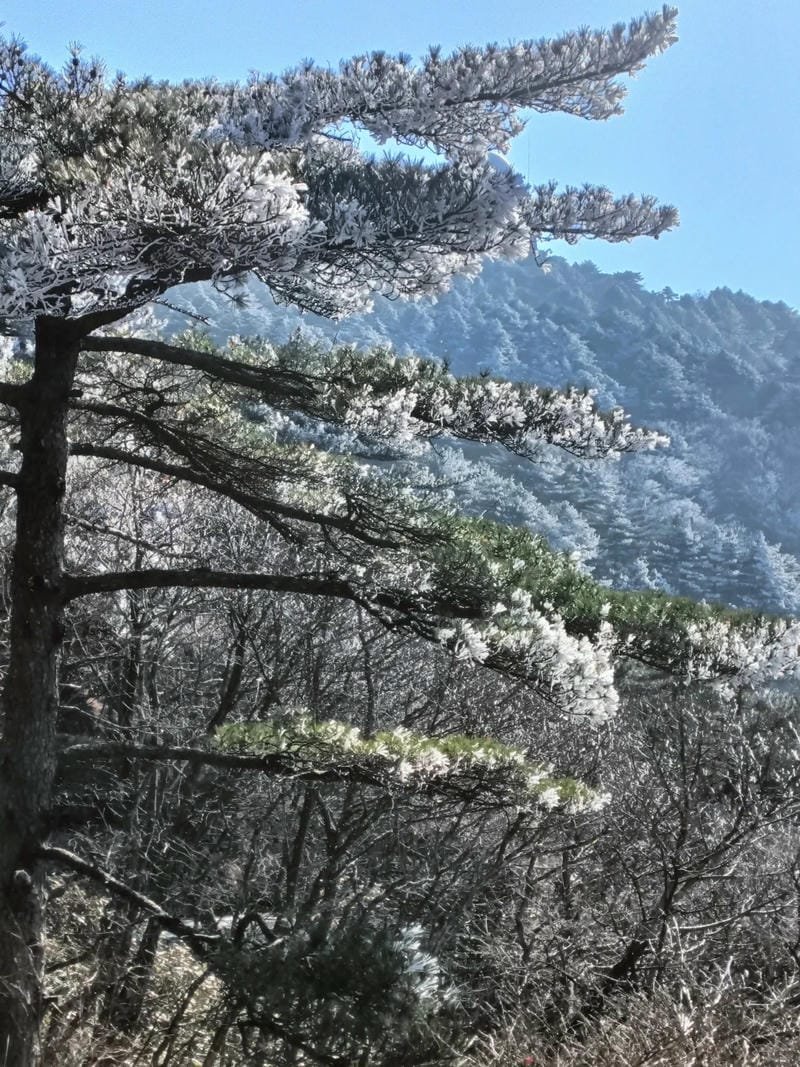 ảnh phong cảnh chill (5)