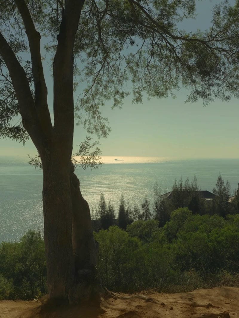 ảnh phong cảnh chill (6)