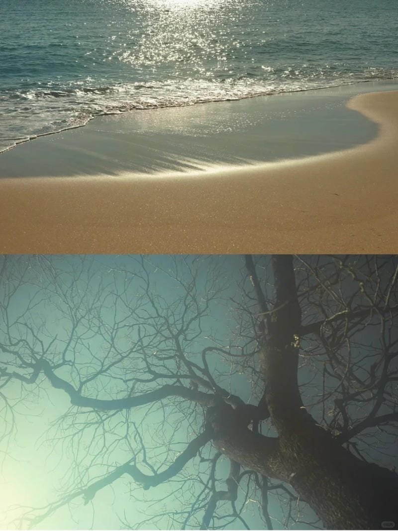 ảnh phong cảnh chill (7)