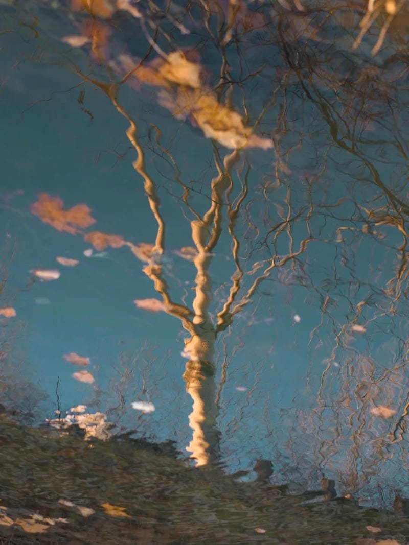 ảnh phong cảnh chill (9)